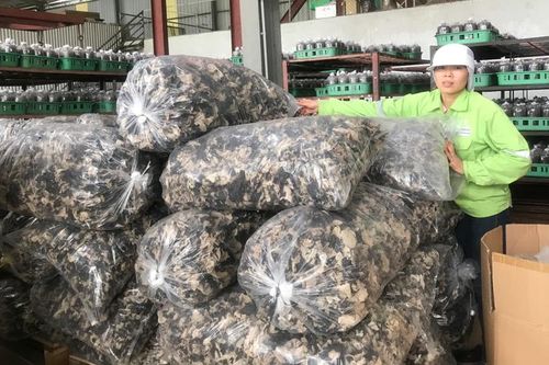 Chủ động phòng ngừa tai nạn lao động