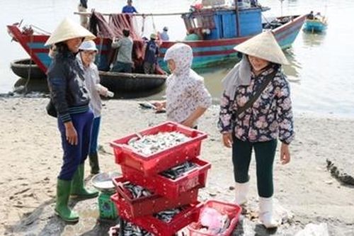 Cần sớm tháo gỡ khó khăn cho ngư dân bám biển