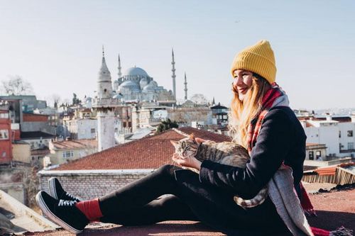 Istanbul - Vương quốc của mèo hoang