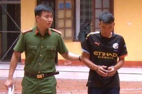 Gã trai gây ra 8 vụ trộm cắp tài sản sa lưới