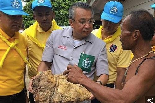 Bãi nôn quý hiếm, giá gần chục tỷ đồng