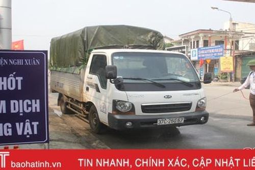 Ban Thường vụ Tỉnh ủy Hà Tĩnh chỉ đạo quyết liệt phòng chống, sớm khống chế dịch tả lợn châu Phi