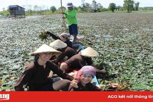 Những gợi ý cho du lịch An Giang
