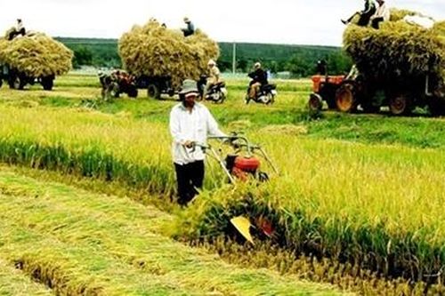 Nhiều rào cản chính sách đất đai cản trở phát triển nông nghiệp