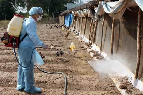 Triển khai Tháng tổng vệ sinh, khử trùng, tiêu độc môi trường đợt 2