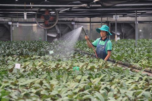 Hợp tác xã nông nghiệp: Nhân tố tích cực trong xây dựng nông thôn mới