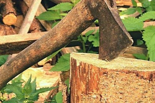 Đi thu 'họ', bị đánh tử vong