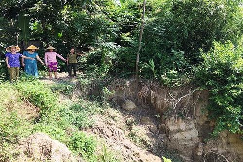 Tả ngạn sông Chu bị sạt lở nghiêm trọng