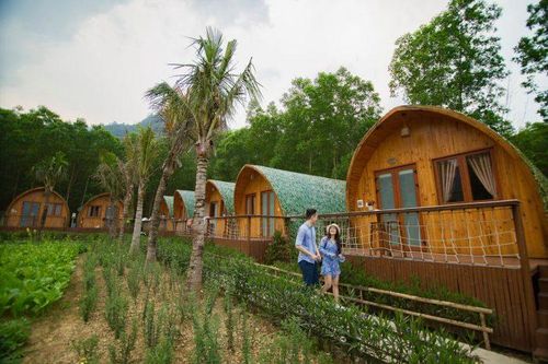 Farmstay - mô hình độc đáo và hấp dẫn