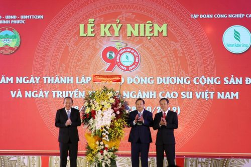 Tập đoàn Cao su cần hướng đến một tập đoàn kinh tế quy mô lớn