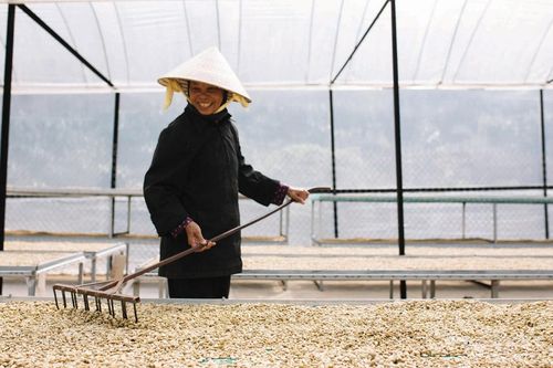 Nông sản Việt vào thị trường Hàn Quốc: Quá khiêm tốn