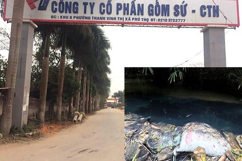 Gốm sứ Thanh Hà 'đổ vạ' cho Công ty MTCNC Hòa Bình có mưu đồ gì?