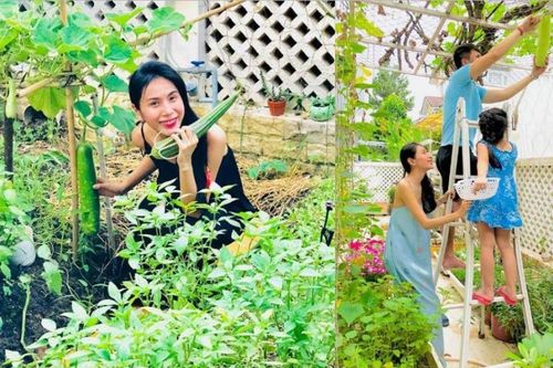 Khu vườn đủ thứ rau quả sạch trong biệt thự của Công Vinh - Thủy Tiên