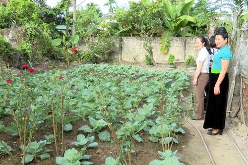 Hội LHPN huyện Điện Biên ra mắt CLB 'Nhà sạch, vườn đẹp'