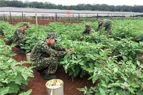 Góp sức xây dựng nền quốc phòng toàn dân vững mạnh