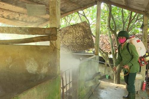 Bệnh lở mồm long móng phát sinh tại 7 xã, thị trấn của huyện Cam Lộ