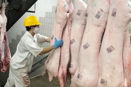 Cân đối cung - cầu mặt hàng thịt lợn cho thị trường Tết 2020