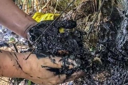 Công ty cổ phần Môi trường công nghệ cao Hòa Bình lên tiếng về 190kg dầu thải