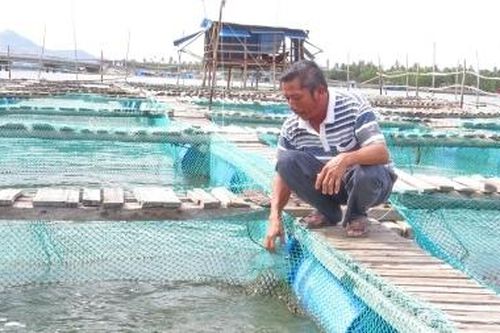 Từ người lái xe trở thành 'tỷ phú' hải sản bên đầm Cù Mông
