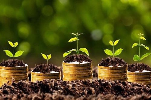 Các doanh nghiệp chốt trả cổ tức tuần từ 28-10 đến 1-11