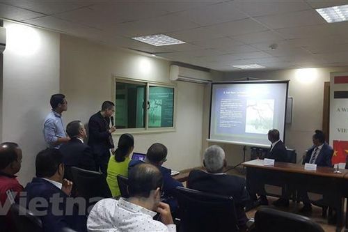 Thúc đẩy hợp tác kinh tế, đầu tư giữa Việt Nam và Ai Cập