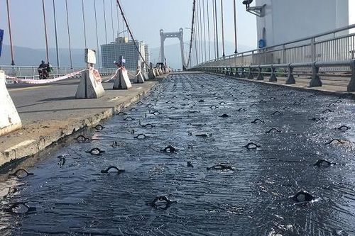 Đà Nẵng: Cận cảnh 'vá' mặt cầu treo dài nhất Việt Nam