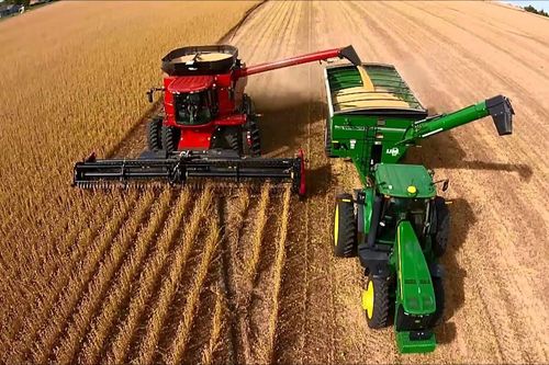 Giá các loại nông sản chủ chốt trong tuần từ 21 - 25/10 đã tăng nhẹ