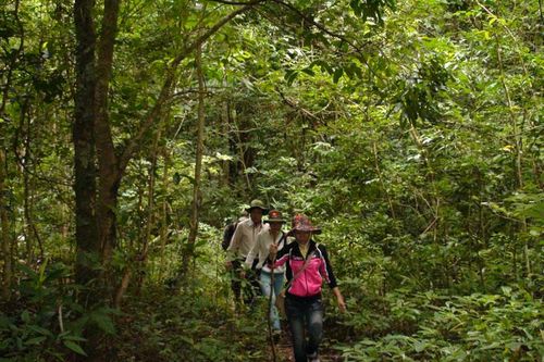 Đa dạng sinh học ở Kon Ka Kinh
