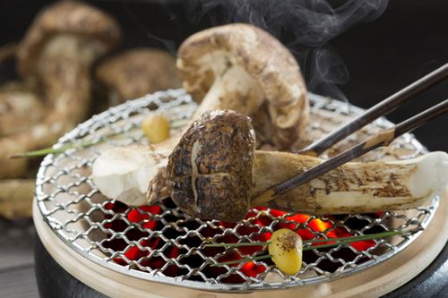 Mùa thu đến Nhật đừng quên ăn thử loại nấm giá 1.000 USD/kg