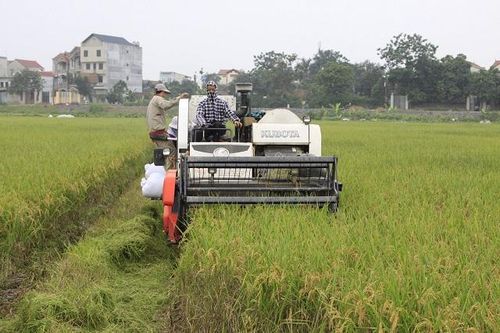 Tạo sức bật cho nông nghiệp hữu cơ