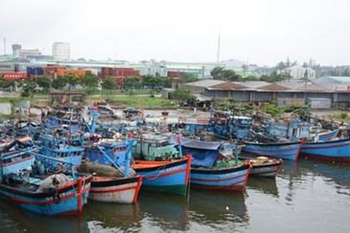 Đà Nẵng chủ động ứng phó với mưa lớn trên diện rộng