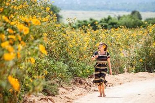 Bình nguyên dưới chân núi Chư Đăng Ya