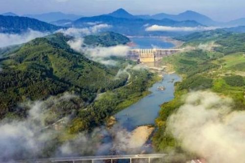 Quảng Nam: Khát vọng từ vùng 'Cao Sơn Ngọc Quế'