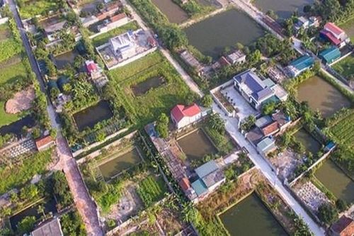 Buông lỏng quản lý đất đai ở xã Vũ Chính, TP. Thái Bình: Pháp luật có được thực thi?