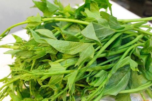 Ai ngờ rau khoai lang chữa nhiều bệnh thế này, nhất là tiểu đường, xương khớp