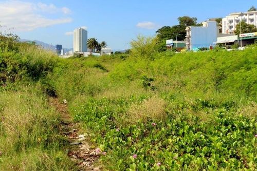 Khánh Hòa thu hồi đất dự án 'lấp biển' 30 triệu USD để làm công viên