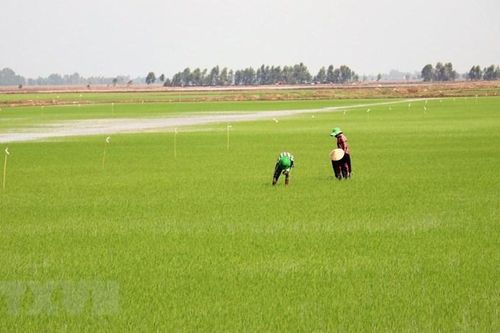 Kiên Giang huy động 17.000 tỷ đồng xây dựng nông thôn mới