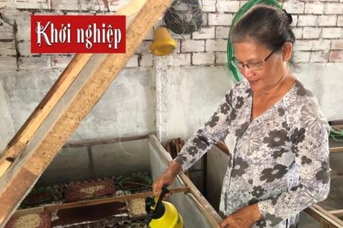 'Muốn kiếm tiền bộn từ nuôi dế, phải tìm nguồn thức ăn sạch'