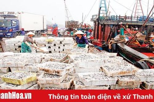 Tăng cường quản lý khai thác hải sản theo các quy định của Ủy ban Châu Âu
