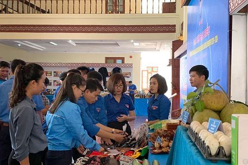 Triển lãm gian hàng giới thiệu sản phẩm nông nghiệp và dịch vụ của thanh niên