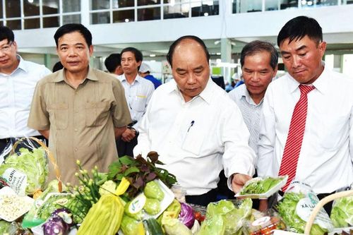 'Đã nghe gió ngày mai thổi lại' (Bài 1)