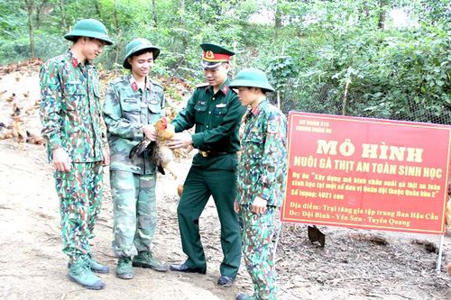 Ban hậu cần Trung đoàn 98: Hiệu quả từ mô hình nuôi gà an toàn sinh học