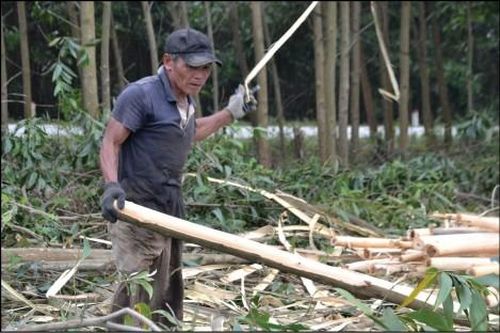 Kinh tế Kinh tế Cẩn trọng trong khắc phục, xử lý