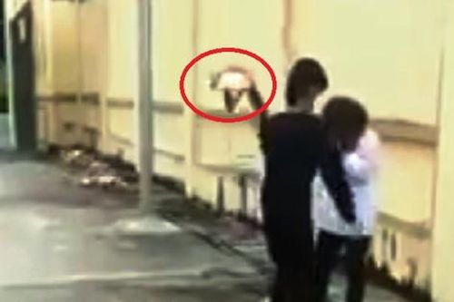 Thanh Hóa: Công an vào cuộc xử lý vụ nữ sinh bị bạn dùng mũ bảo hiểm đánh tới tấp vào đầu