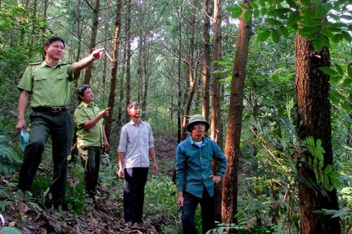 Nhiều quy định mới về khu du lịch sinh thái trong rừng