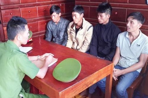 Tạm giữ 5 đối tượng đầu độc rừng thông để chiếm đất