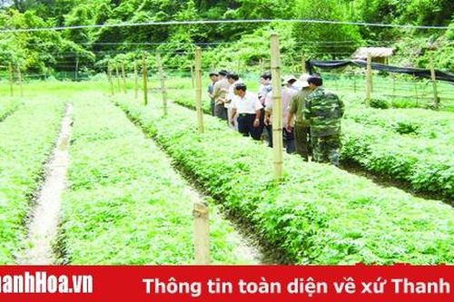 Các địa phương chủ động trồng mới 10.000 ha rừng