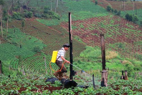 Tổng rà soát đất đai nông lâm trường