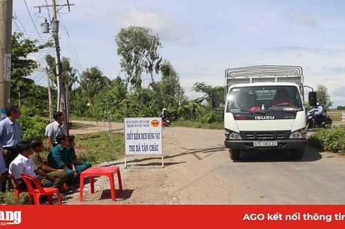 Tăng cường kiểm soát vận chuyển heo, sản phẩm từ heo ở khu vực biên giới