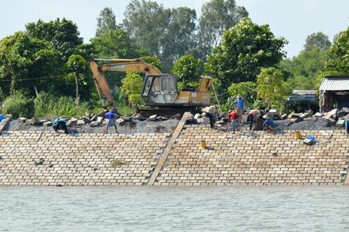 Chủ động bảo vệ môi trường, ứng phó biến đổi khí hậu